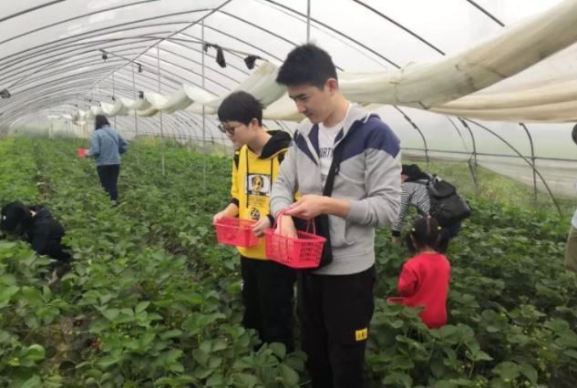 親（qīn）近“莓”好大自然,華（huá）禹護欄組織員工春遊采摘活動