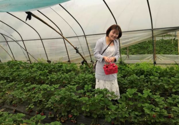 親近“莓”好大自然,華（huá）禹護（hù）欄組織員工春遊采摘活動（dòng）