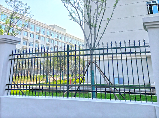 湖北荊州長江大學文（wén）理學院鋅鋼欄杆案例（lì）