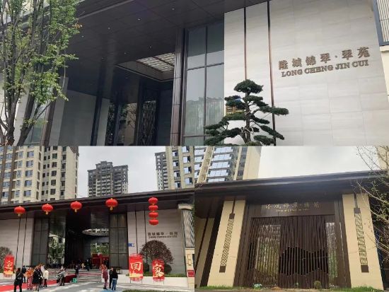 四川（chuān）隆昌隆城錦翠·錦苑護欄百葉窗空調架（jià）項目