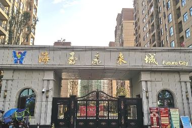 湖北恩（ēn）施海玉未來城（chéng）陽台護欄百葉窗鋁藝門項目案例