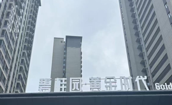 碧桂園黃金時代陽台連廊護欄百葉窗柵欄樓梯扶手案例
