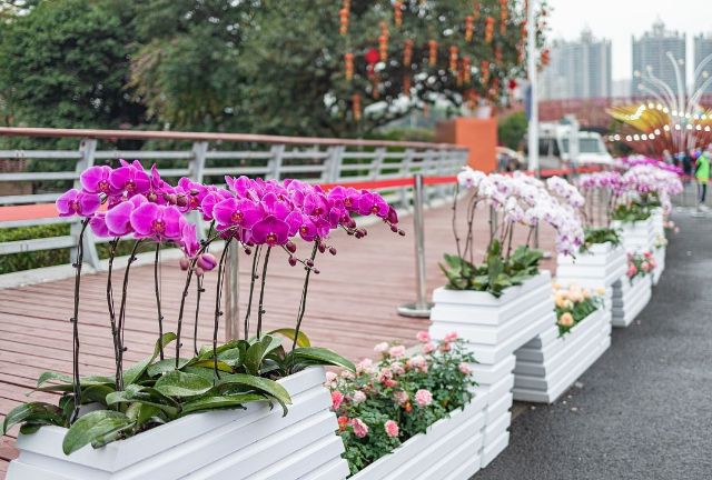 道路花箱護欄與普通道路護欄有什（shí）麽不（bú）同